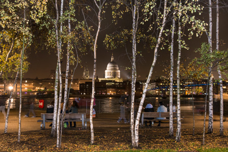 Philip Braude's image "Urban Trees, London"