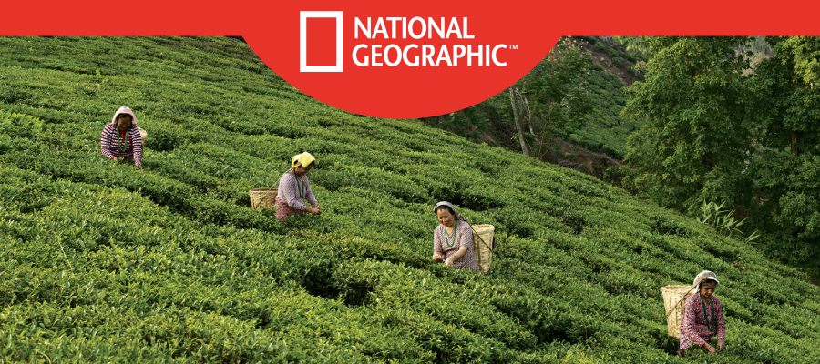 natgeo-header