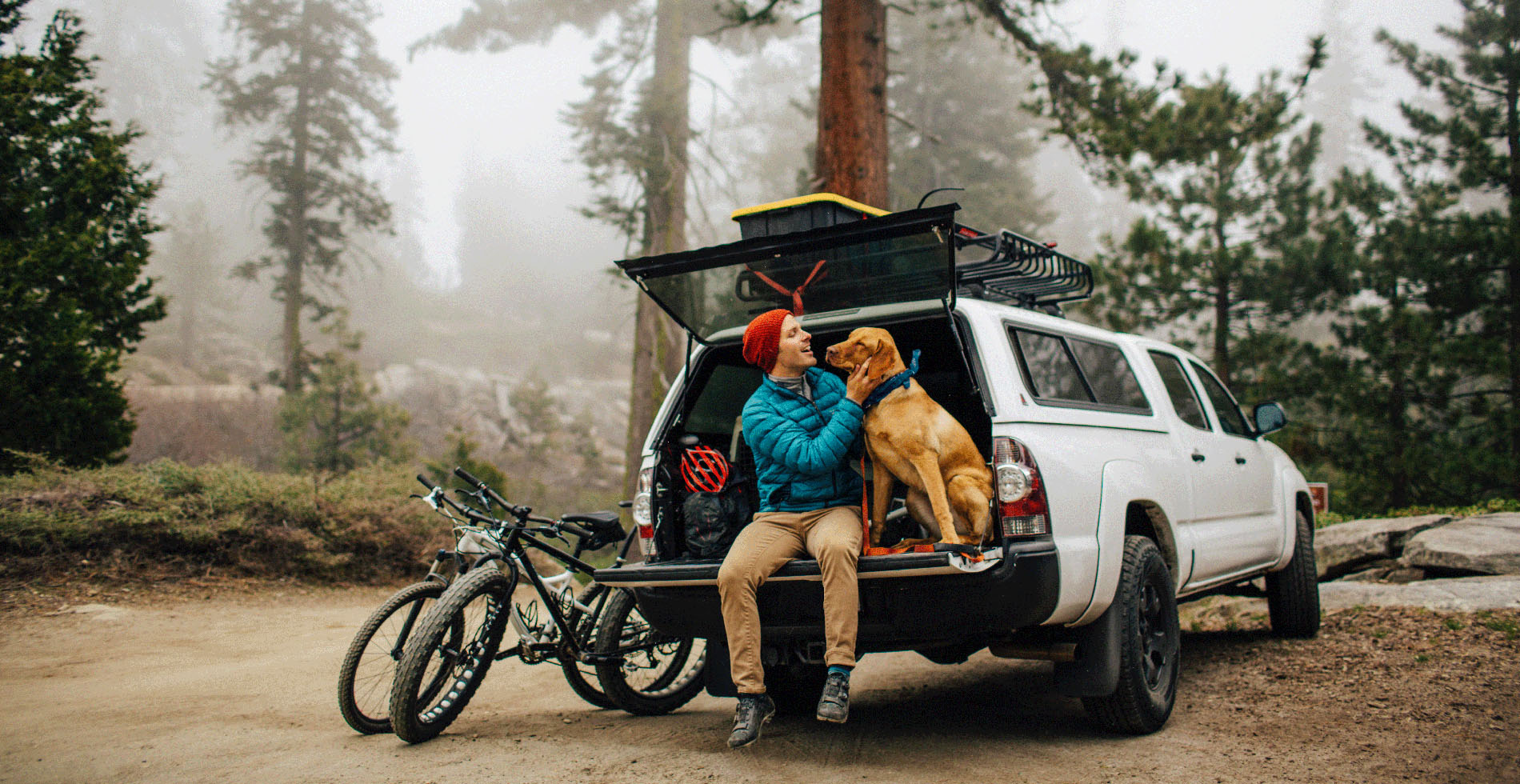 Travellers will put their pets at the forefront when planning their getaways in 2020. Image: Getty