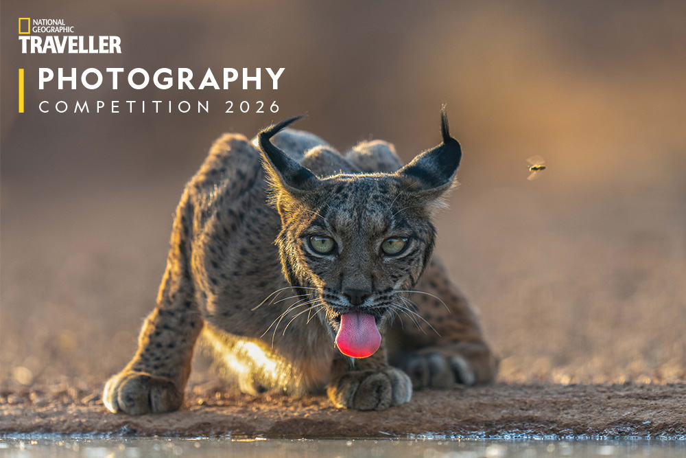 Photgraphy Competition