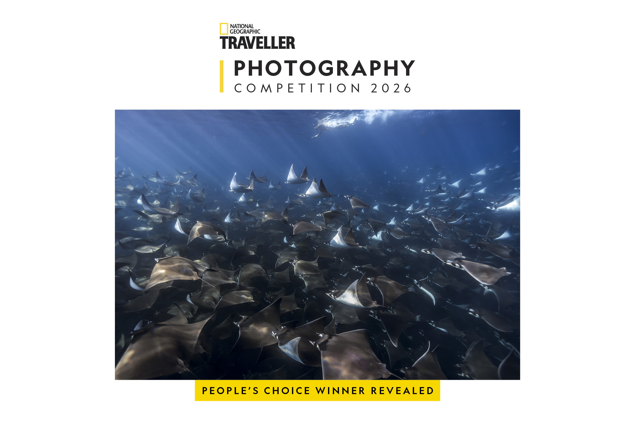 APL blog Photography competition public vote - winner